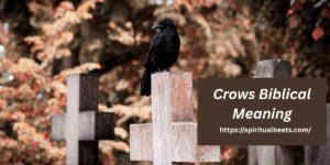 10 Crows Biblical Meaning: Spiritual Significance Explained