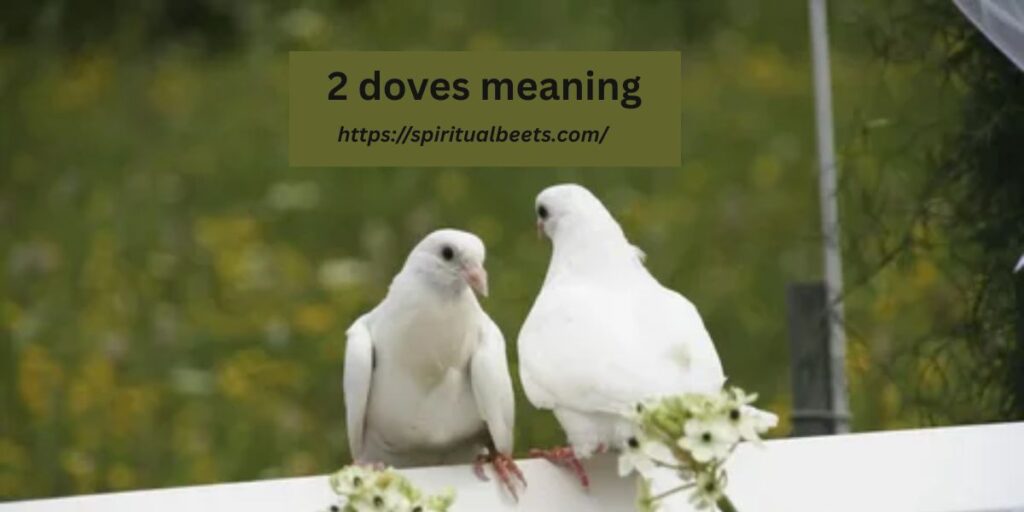 2 doves meaning