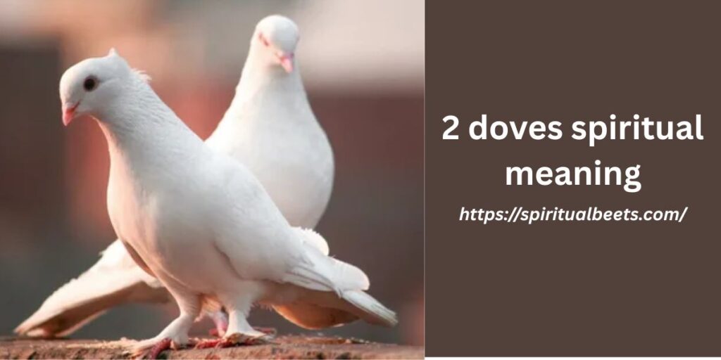 2 doves spiritual meaning