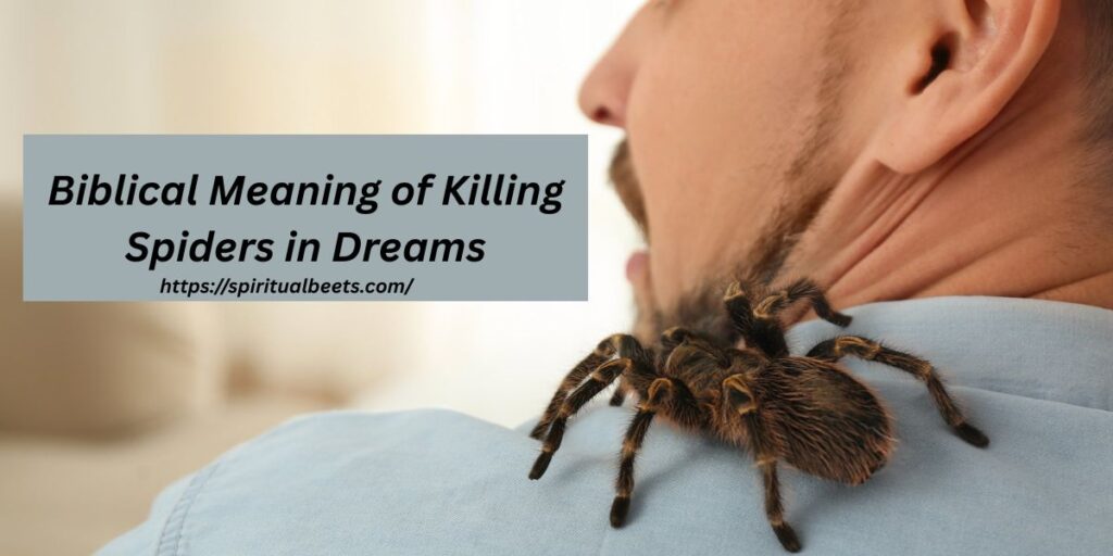 Biblical Meaning of Killing Spiders in Dreams