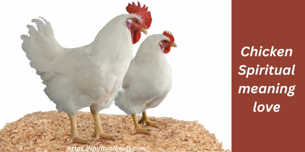 Chicken spiritual meaning love