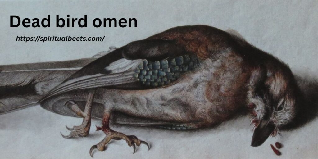 Dead bird omen