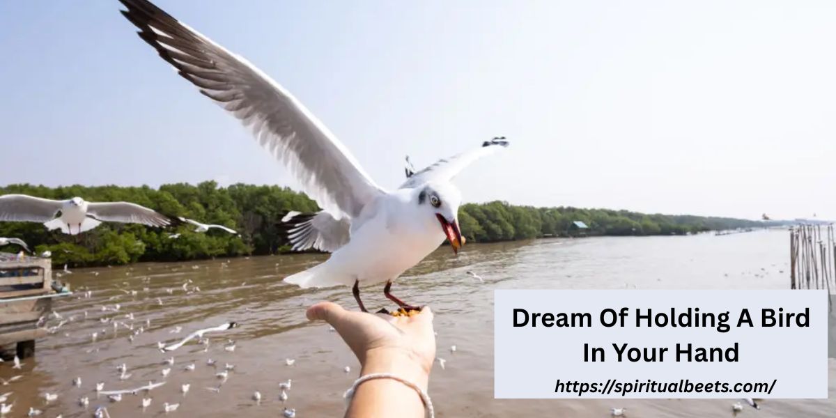 Dream Of Holding A Bird In Your Hand: Meaning & Interpretation