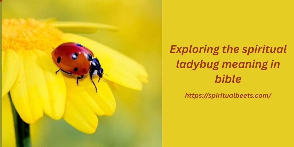 Exploring the spiritual ladybug meaning in bible