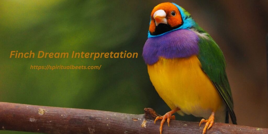 Finch Dream Interpretation