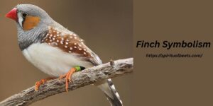 Finch Symbolism And Spiritual Meaning Explained