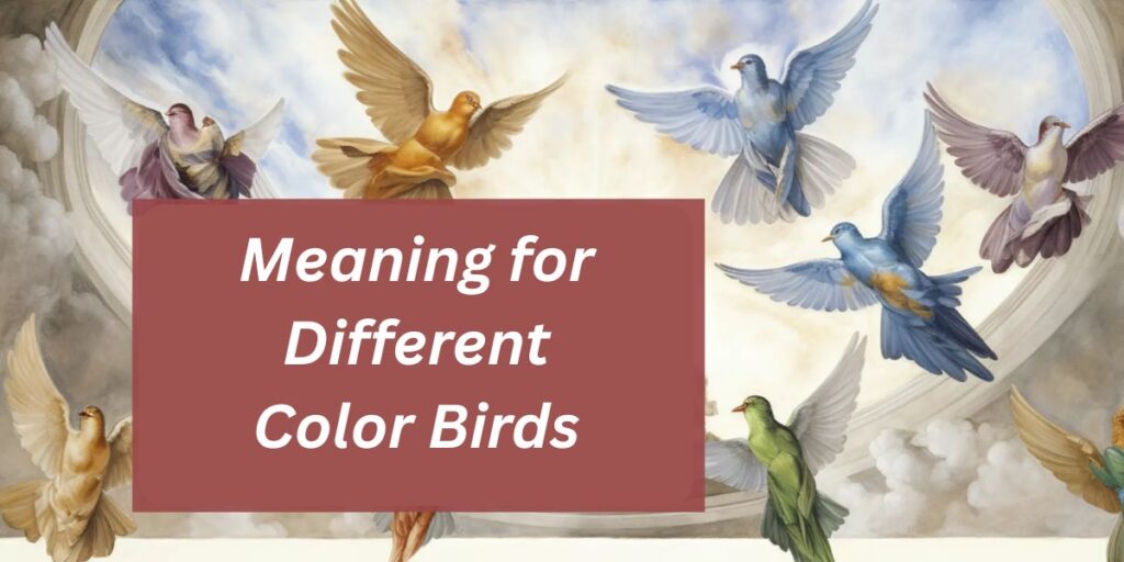 Meaning for Different Color Birds