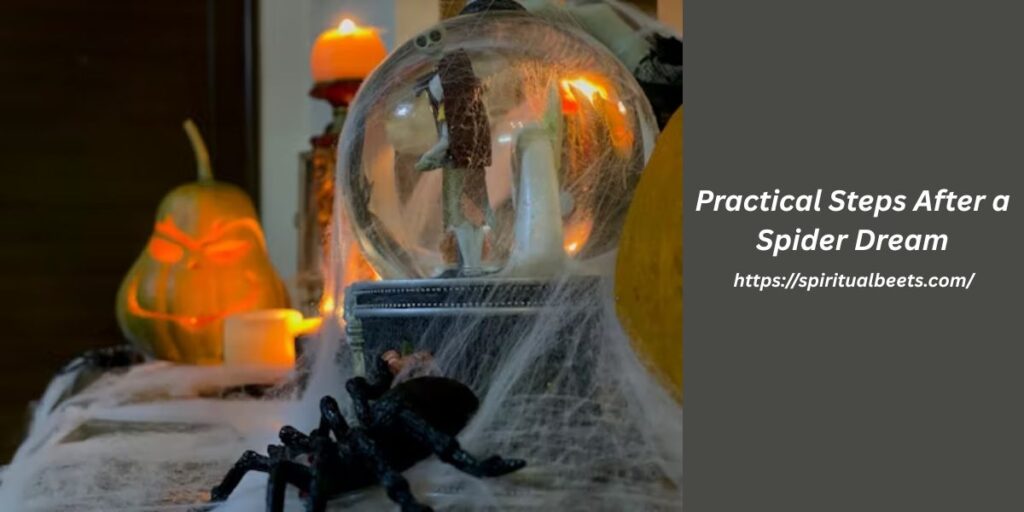 Practical Steps After a Spider Dream