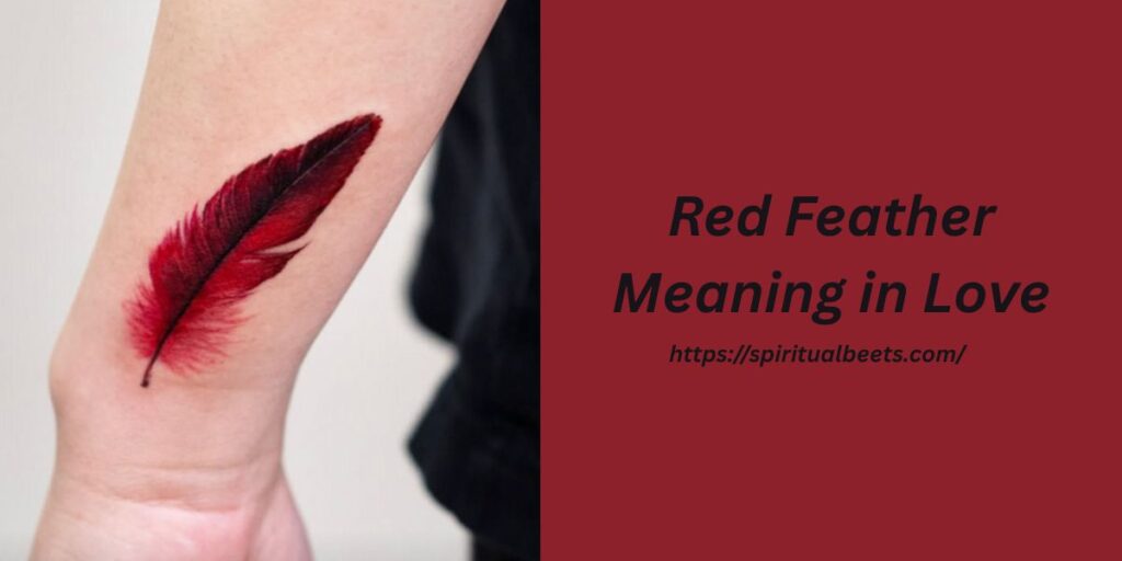 Red Feather Meaning in Love