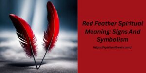 Red Feather Spiritual Meaning: Signs And Symbolism