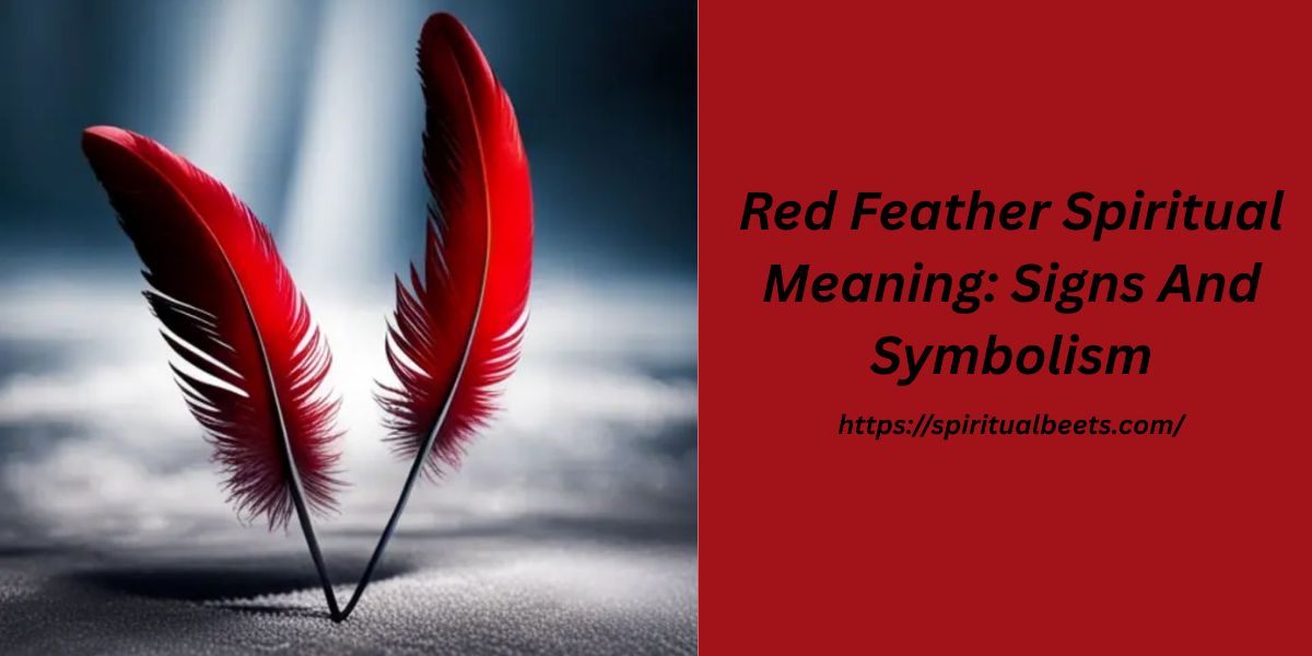 Red Feather Spiritual Meaning: Signs And Symbolism