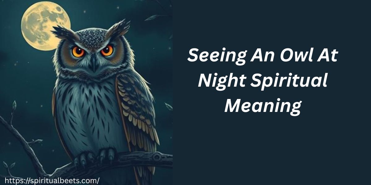 Seeing An Owl At Night Spiritual Meaning