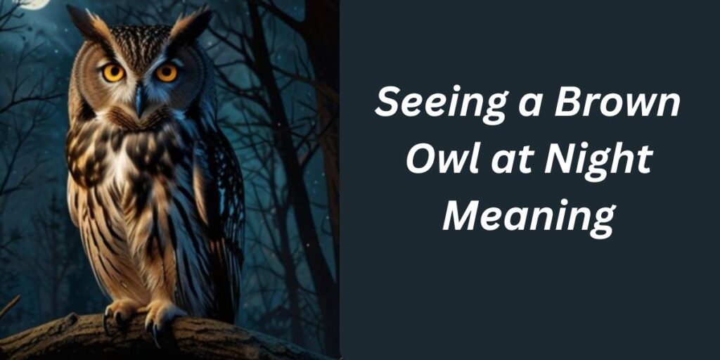 Seeing a Brown Owl at Night Meaning