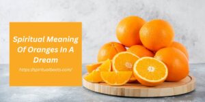 Spiritual Meaning Of Oranges In A Dream