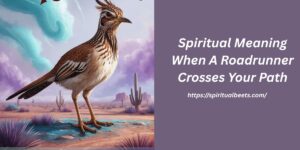 Spiritual Meaning When A Roadrunner Crosses Your Path