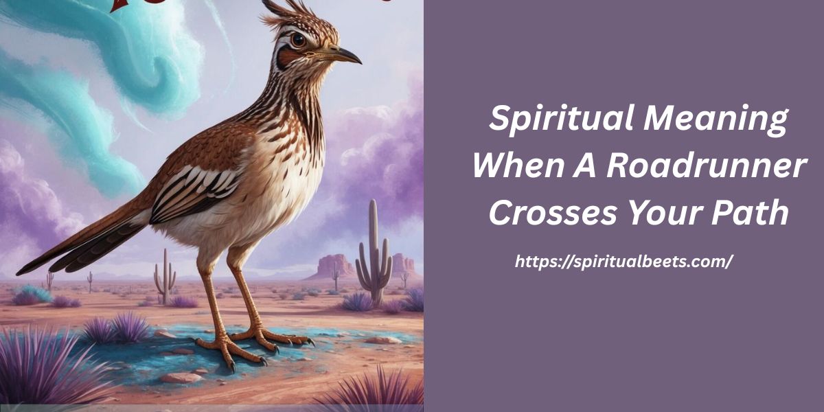 Spiritual Meaning When A Roadrunner Crosses Your Path