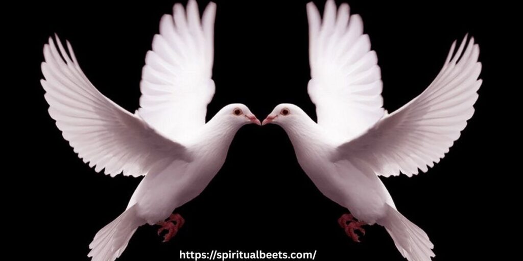 The Spiritual Meaning of Two Doves in Relationships