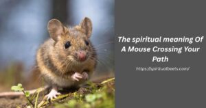 The Spiritual meaning Of A Mouse Crossing Your Path
