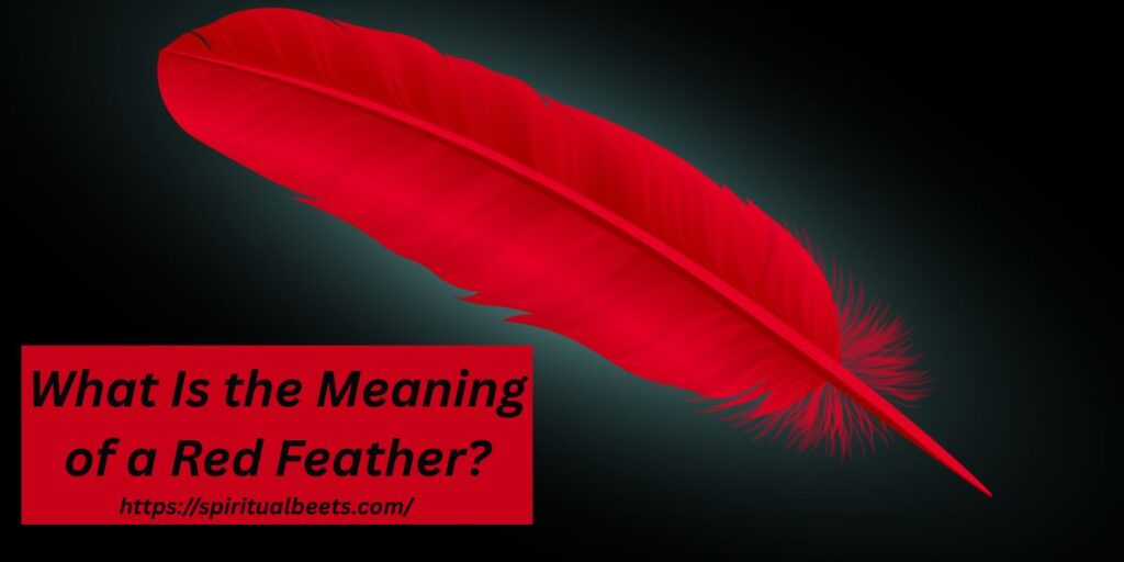 What Is the Meaning of a Red Feather?