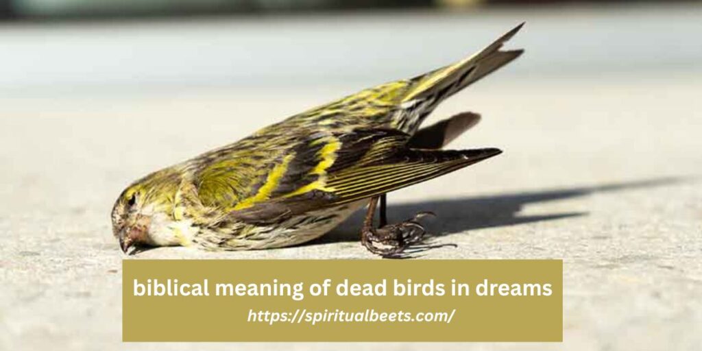 biblical meaning of dead birds in dreams