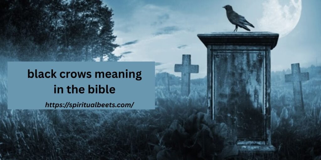 black crows meaning in the bible
