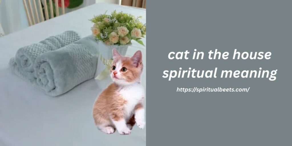 cat in the house spiritual meaning