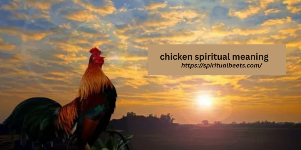 chicken spiritual meaning
