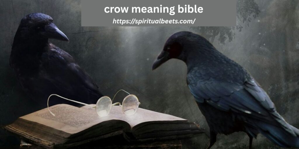 crow meaning bible