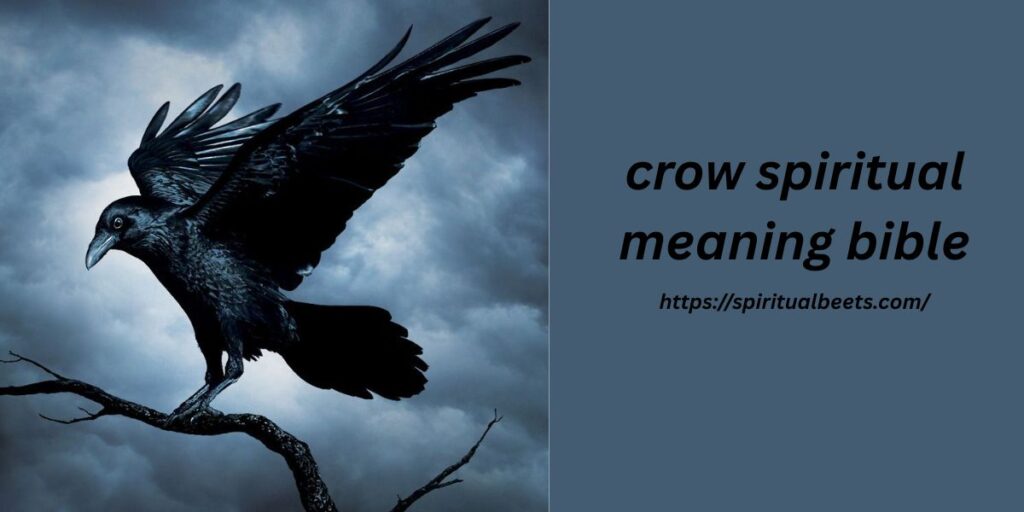 crow spiritual meaning bible
