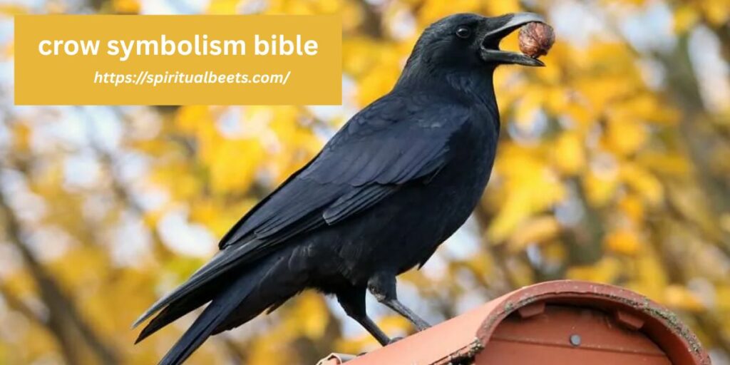 crow symbolism bible