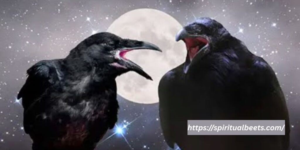 crows spiritual meaning