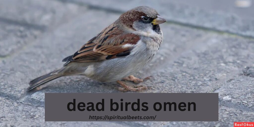 dead birds omen