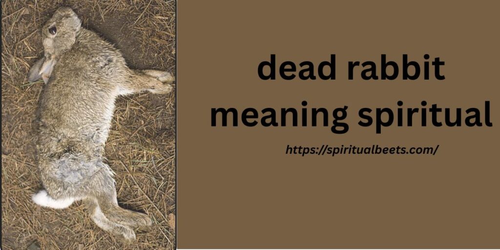 dead rabbit meaning spiritual