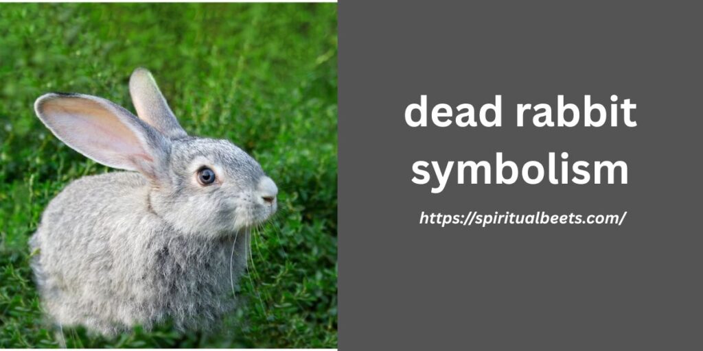 dead rabbit symbolism