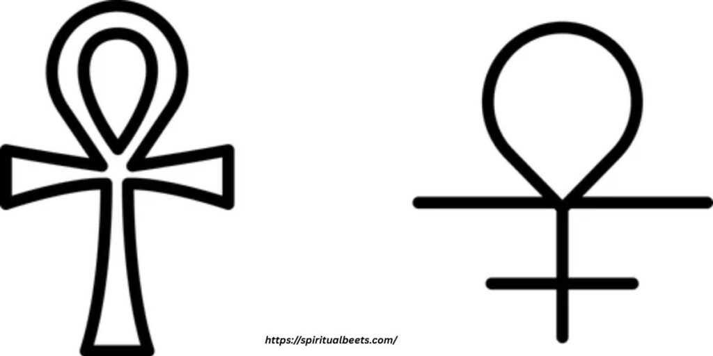 death and life symbol