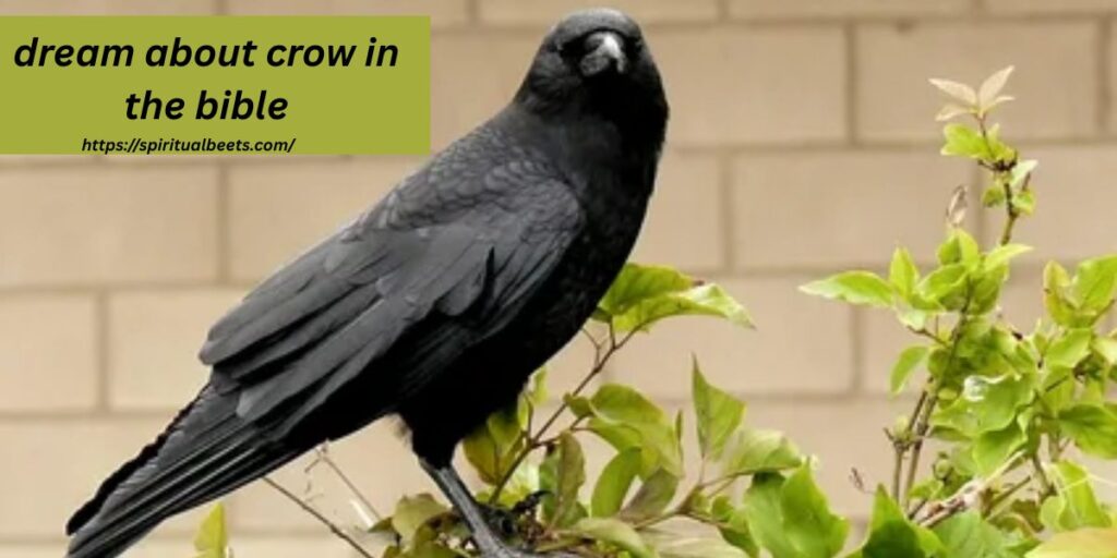 dream about crow in the bible