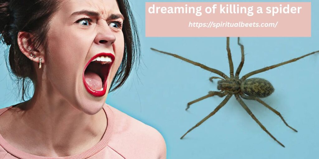 dreaming of killing a spider