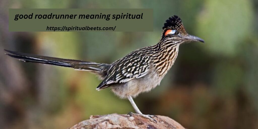 good roadrunner meaning spiritual