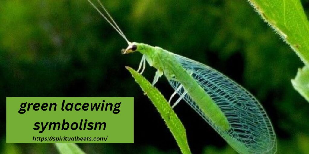 green lacewing symbolism