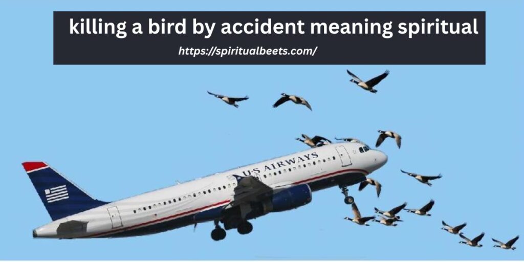 killing a bird by accident Meaning Spiritual