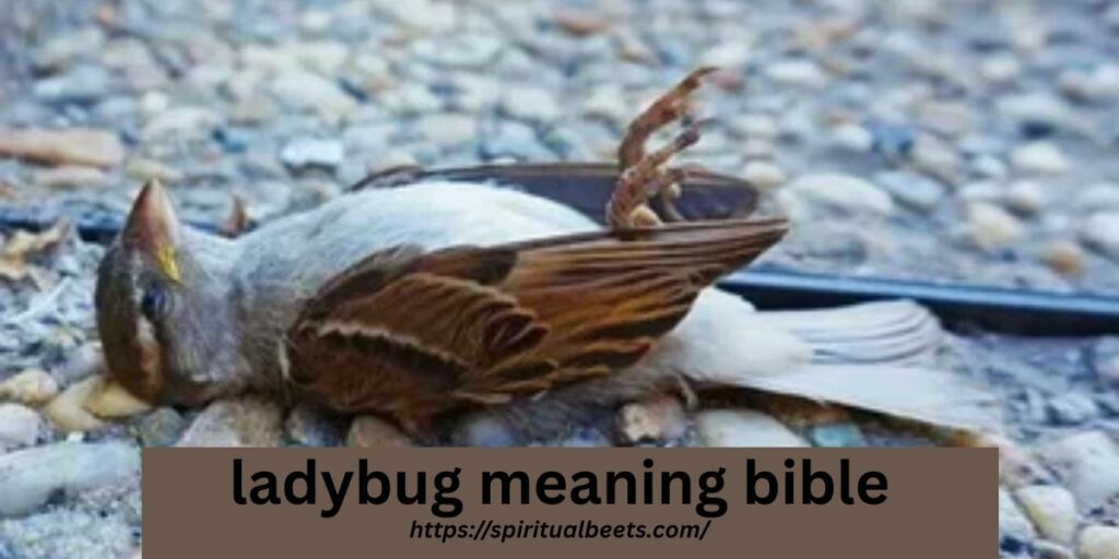 what do dead birds symbolize