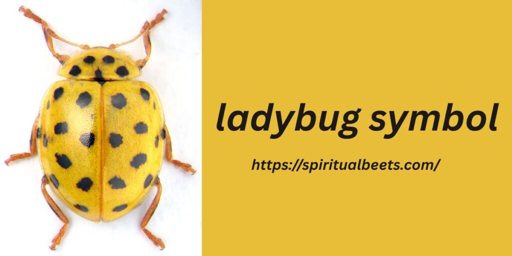 ladybug symbol
