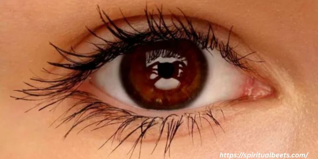 left eye twitching for female spiritual