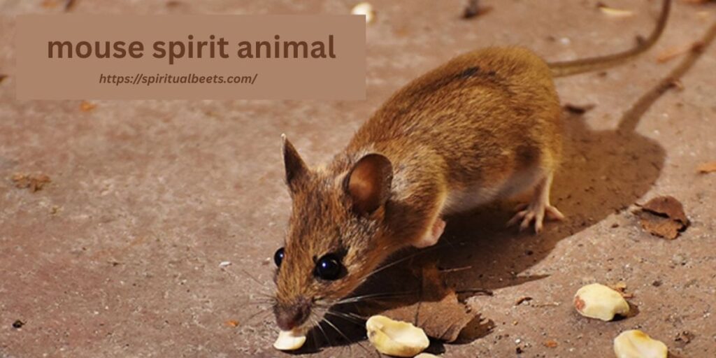 mouse spirit animal