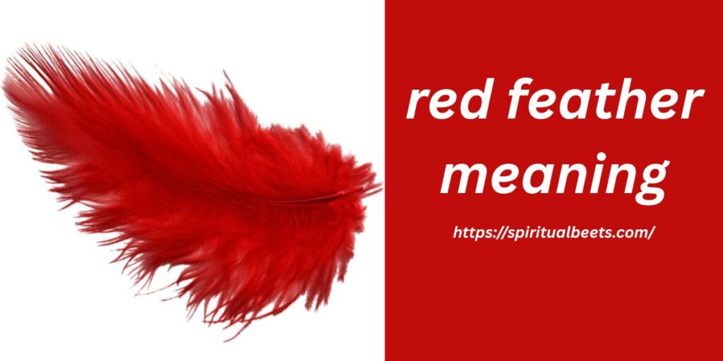 red feather meaning