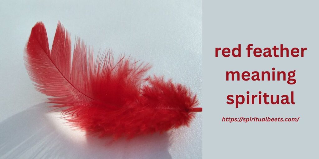 red feather meaning spiritual
