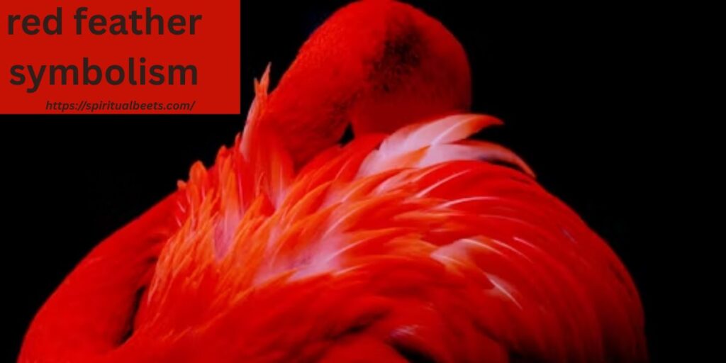 red feather symbolism