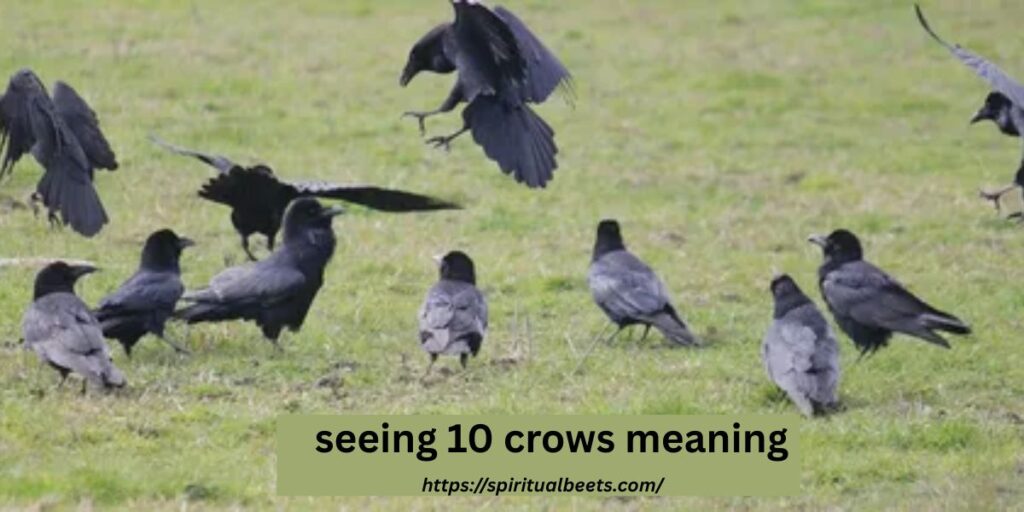 seeing 10 crows meaning