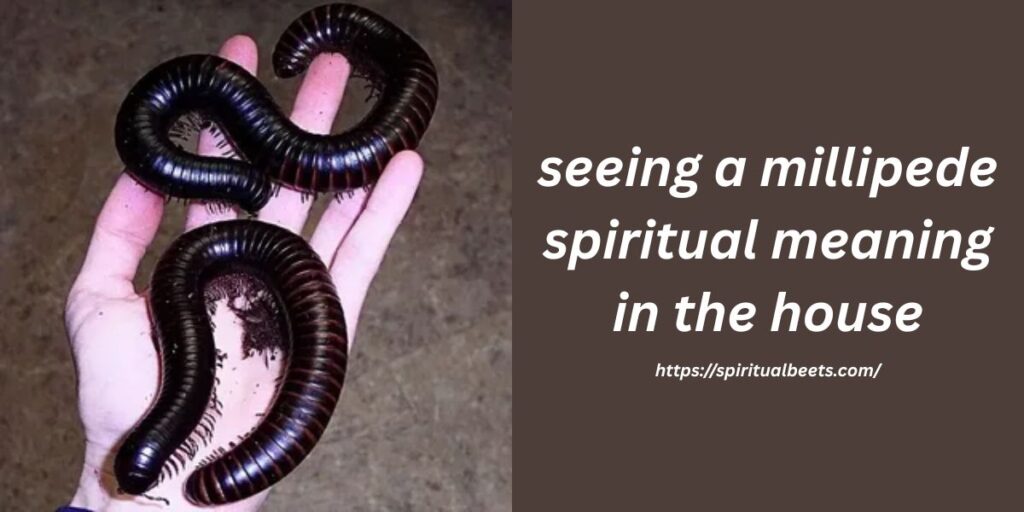 seeing a millipede spiritual meaning in the house