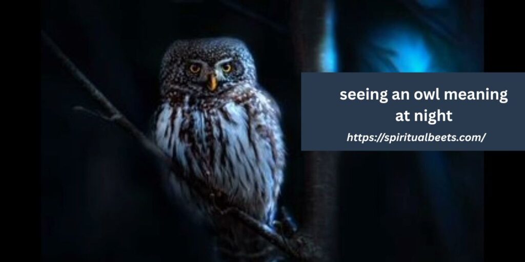 seeing an owl meaning at night